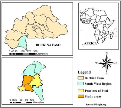 Local Ancestry to Identify Selection in Response to Trypanosome Infection in Baoulé x Zebu Crossbred Cattle in Burkina Faso